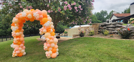 Photo from customer review